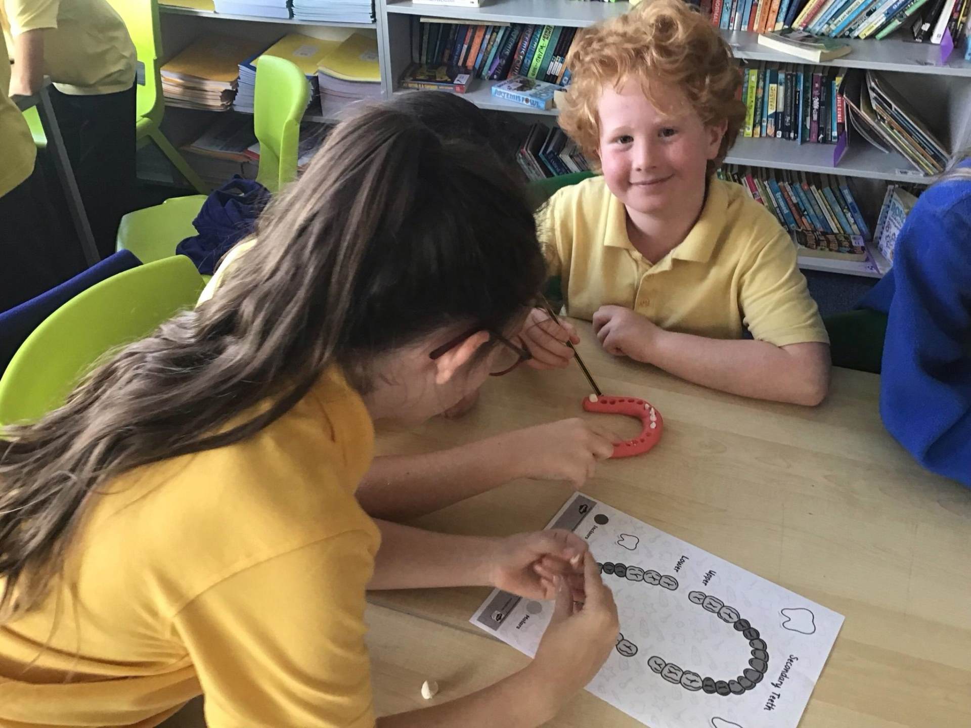 Brookdale Bulletin - 11th September 2026