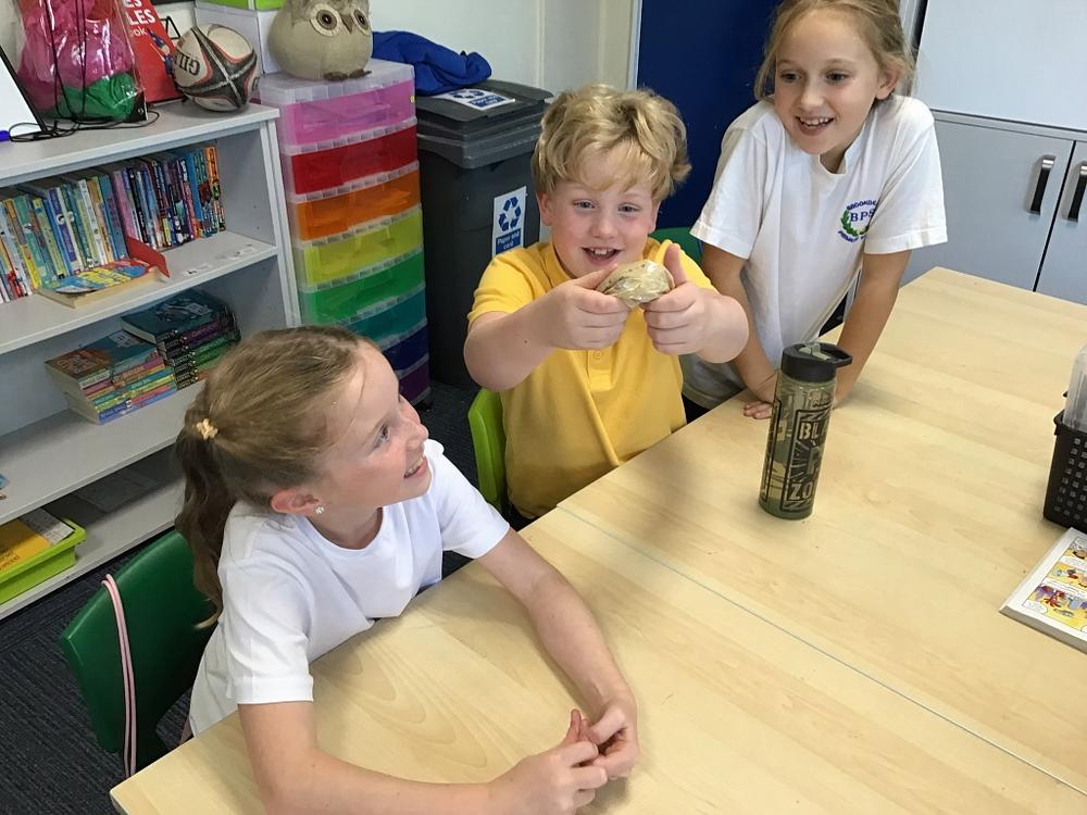 Brookdale Bulletin - 25th September 2026