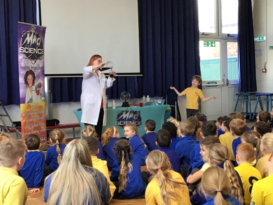 Brookdale Bulletin - 27th February 2026