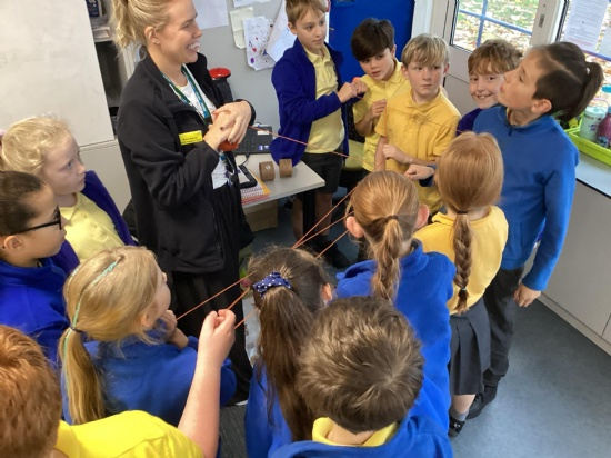 Brookdale Bulletin - 14th November 2025