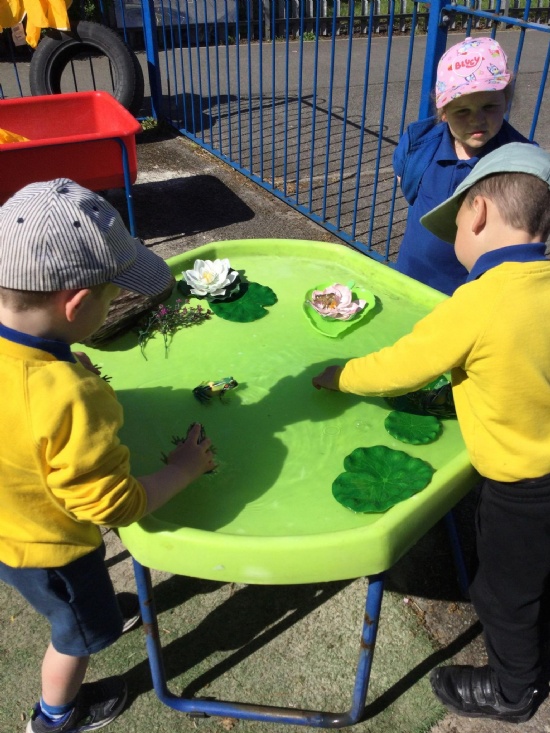 Brookdale Bulletin - 1st May 2025