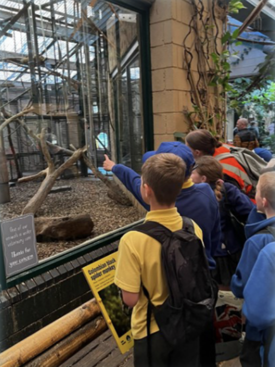 Brookdale Bulletin - 4th April 2025