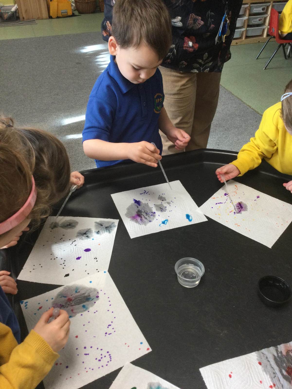 Brookdale Bulletin - 13th March 2026